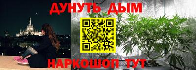 прущий лед Будённовск