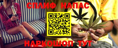 прущий лед Будённовск