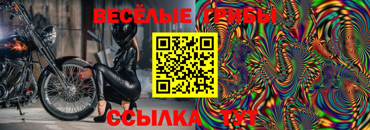 Псилоцибиновые грибы мицелий Топки